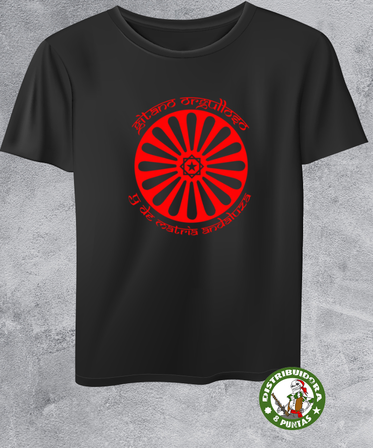 Camiseta con bandera gitana romaní desgastada, Negro, S